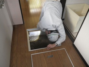 床下点検口から目視で確認