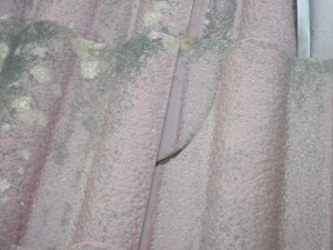 屋根瓦の破損