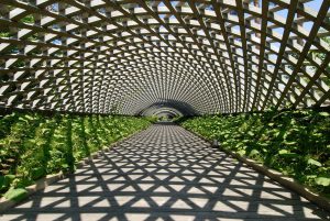 青森芸術センター四季のアーケード(木造)